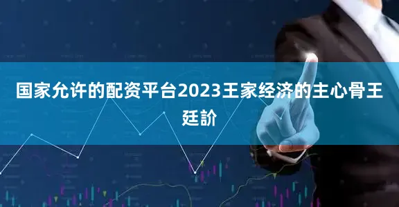 国家允许的配资平台2023王家经济的主心骨王廷䚸
