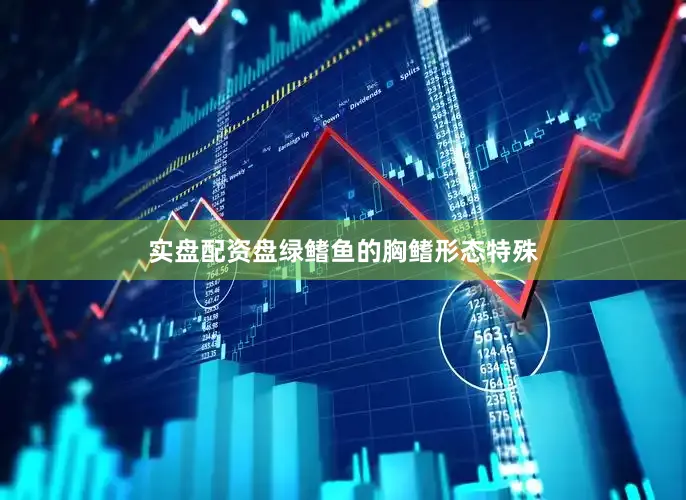 实盘配资盘绿鳍鱼的胸鳍形态特殊