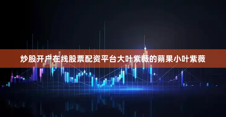 炒股开户在线股票配资平台大叶紫薇的蒴果小叶紫薇